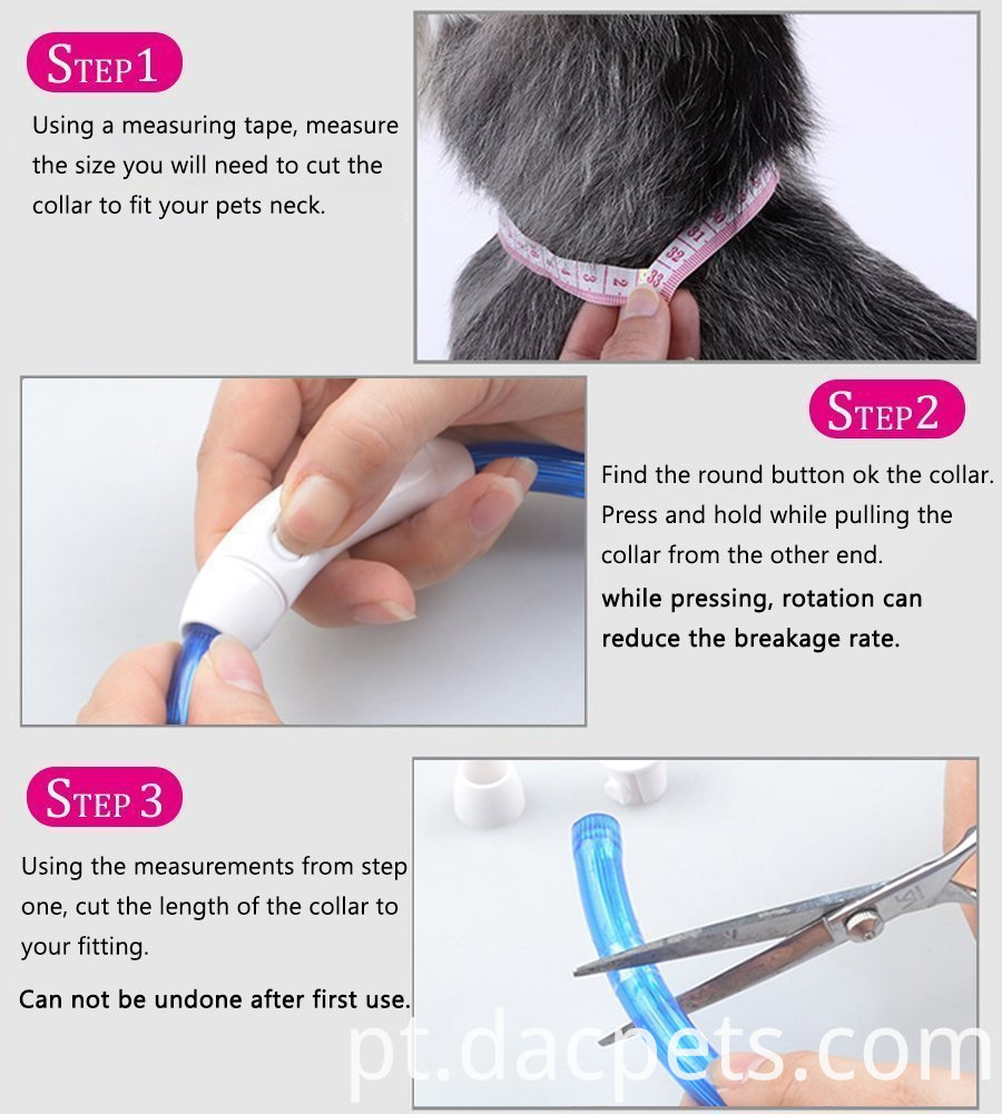 Coleira de animais de estimação com LED recarregável Rechargeable LED Pet Collar
